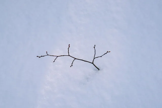 Argument Injection Vulnerability in ggit